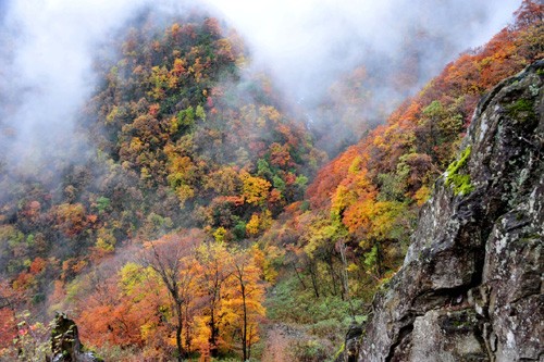 神农架神农顶景区风光（2014年11月1日摄）。