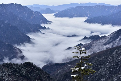 神农架神农顶景区云海（2016年1月8日摄）。7月17日，在土耳其伊斯坦布尔举行的第40届世界遗产大会把中国湖北神农架列入世界遗产名录，中国世遗项目由此达到50个。