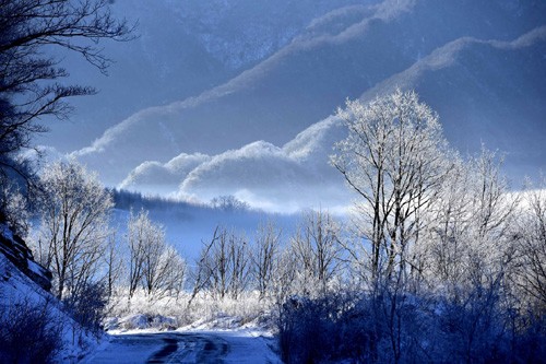 神农架大九湖高山湿地风光（2016年1月8日摄）。